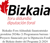 logo Diputación Foral de Bizkaia con texto del programa 2i 2024
